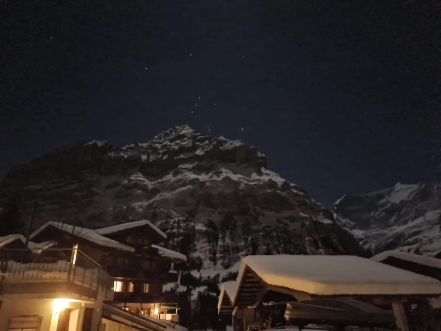 Chalet Engi Apt 1 For Up To 8 People Grindelwald Buitenkant foto